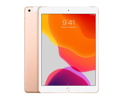 Apple iPad 10.2 Service in Chennai