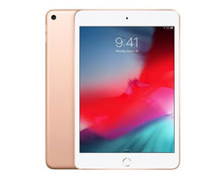 Apple iPad mini (2019) Service in Chennai